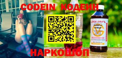 СК Кингисепп