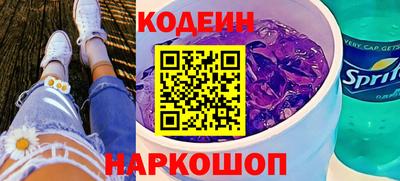 СК Кингисепп