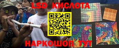 PSILOCYBIN Кимры