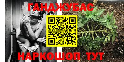 СК Кингисепп