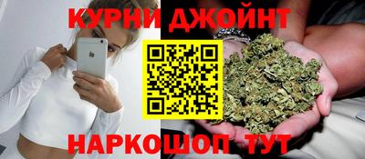 СК Кингисепп
