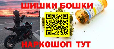 СК Кингисепп