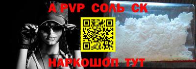 СК Кингисепп