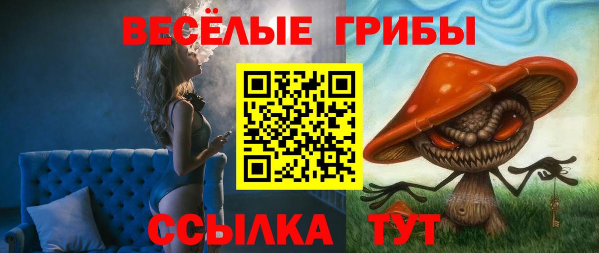 Коряжма  Псилоцибиновые грибы GOLDEN TEACHER  Вход с VPN 