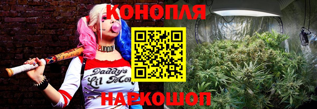 Конопля White Widow Коряжма